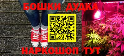 гидропоника Новозыбков