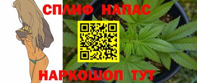 гидропоника Новозыбков