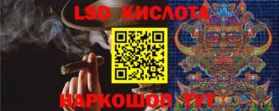 гидропоника Новозыбков