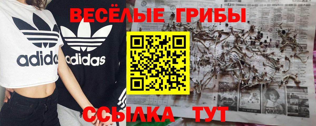 Псилоцибиновые грибы GOLDEN TEACHER Серов